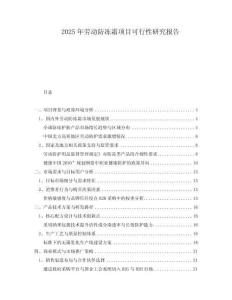 2025年勞動防凍霜項目可行性研究報告