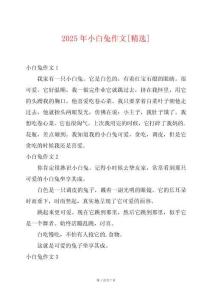 2025年小白兔作文[精選]