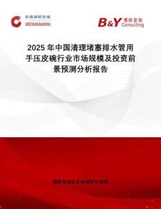 2025年中國清理堵塞排水管用手壓皮碗行業市場規模及投資前景預測分析報告