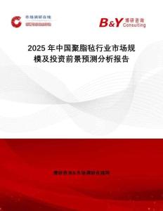 2025年中國聚脂氈行業(yè)市場規(guī)模及投資前景預測分析報告