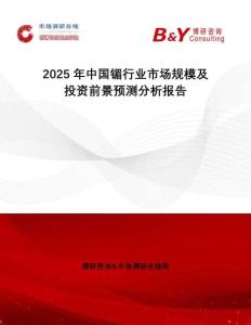 2025年中國镅行業(yè)市場規(guī)模及投資前景預(yù)測分析報告