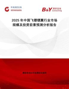 2025年中國飛鏢鏢翼行業市場規模及投資前景預測分析報告