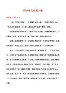 同步作文合集十篇