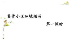 2026高考語文鑒賞小說環(huán)境描寫方法技巧指導（課件）