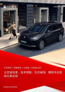 2025比亞迪深度報告：技術(shù)領(lǐng)航，生態(tài)破局，騰勢開啟高端化新征程