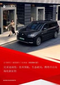 2025比亞迪深度報告：技術(shù)領(lǐng)航，生態(tài)破局，騰勢開啟高端化新征程