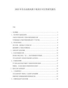 2025年全自動(dòng)熱風(fēng)烘干機(jī)項(xiàng)目可行性研究報(bào)告