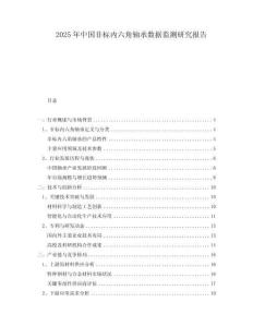 2025年中國非標內六角軸承數據監測研究報告