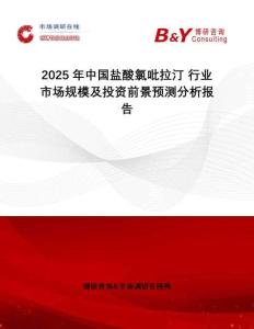 2025年中國鹽酸氯吡拉汀 行業市場規模及投資前景預測分析報告