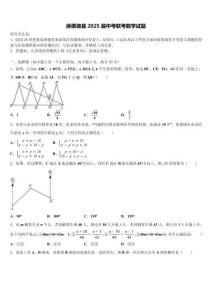 麻栗坡縣2025屆中考聯(lián)考數(shù)學(xué)試題含解析