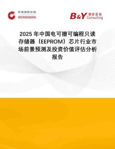 2025年中國電可擦可編程只讀存儲器（EEPROM）芯片行業(yè)市場前景預(yù)測及投資價值評估分析報告