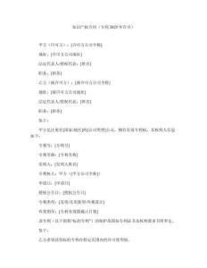 知識產(chǎn)權合同（專利2025年許可）