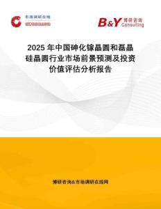 2025年中國砷化鎵晶圓和磊晶硅晶圓行業(yè)市場前景預(yù)測及投資價值評估分析報告