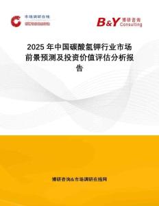 2025年中國碳酸氫鉀行業市場前景預測及投資價值評估分析報告