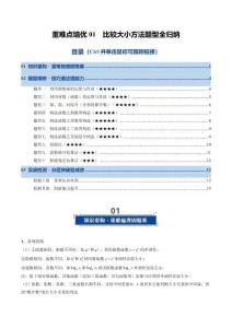 重難點培優01 比較大小方法題型全歸納（復習講義）（全國通用）（原卷版）