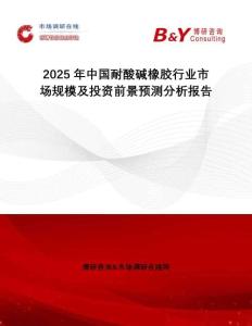 2025年中國耐酸堿橡膠行業(yè)市場規(guī)模及投資前景預測分析報告