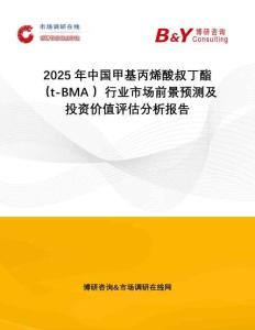 2025年中國甲基丙烯酸叔丁酯（t-BMA ）行業(yè)市場前景預(yù)測及投資價值評估分析報告