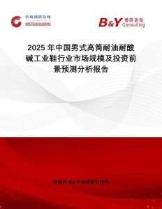 2025年中國男式高筒耐油耐酸堿工業(yè)鞋行業(yè)市場規(guī)模及投資前景預測分析報告