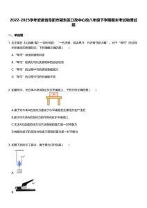 2022-2023學(xué)年安徽省阜陽市潁東區(qū)口孜中心校八年級下學(xué)期期末考試物理試題
