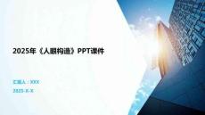 2025年《人眼構造》PPT課件