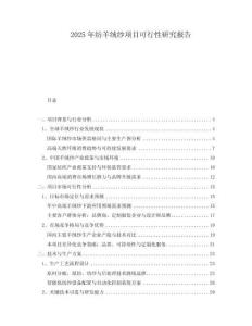 2025年紡羊絨紗項(xiàng)目可行性研究報(bào)告