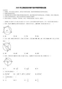 2025年江西省吉安市新干縣中考數學模擬試題含解析