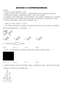 韶關市樂昌市2025屆中考數學適應性模擬試題含解析