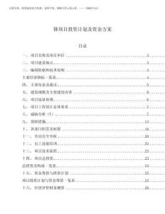 2025年錸項目投資計劃及資金方案