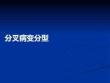 分叉病變分型PPT課件