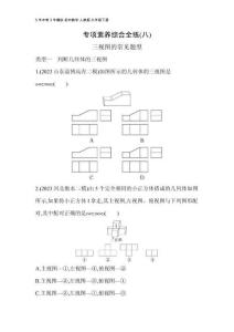 08-專項(xiàng)素養(yǎng)綜合全練(八)(2)
