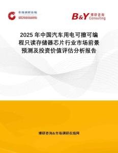 2025年中國汽車用電可擦可編程只讀存儲器芯片行業(yè)市場前景預(yù)測及投資價值評估分析報告