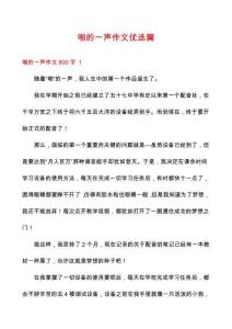 啪的一聲作文優(yōu)選篇