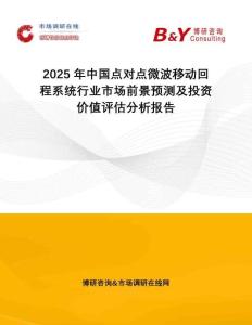 2025年中國點對點微波移動回程系統(tǒng)行業(yè)市場前景預(yù)測及投資價值評估分析報告