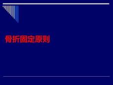 骨折固定原則PPT課件