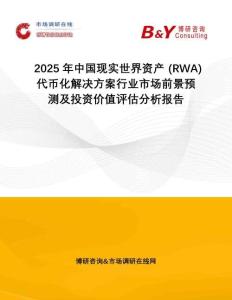 2025年中國現實世界資產 (RWA) 代幣化解決方案行業市場前景預測及投資價值評估分析報告