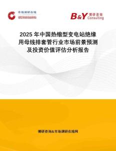2025年中國(guó)熱縮型變電站絕緣用母線排套管行業(yè)市場(chǎng)前景預(yù)測(cè)及投資價(jià)值評(píng)估分析報(bào)告