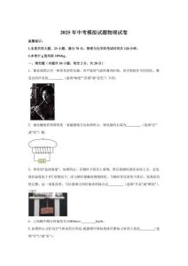 2025年安徽銅陵市中考一模物理試卷試題（含答案詳解） (2)