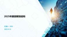 2025年眼部解剖結(jié)構(gòu)