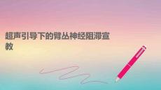 超聲引導下的臂叢神經阻滯宣教PPT課件