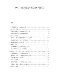 2025年中國滴塑胸章市場(chǎng)調(diào)查研究報(bào)告