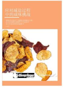 2025年應(yīng)對減鹽過程中的咸味挑戰(zhàn)白皮書-思賓格