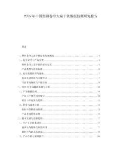 2025年中國塑鋼卷簾大扁下軌數據監測研究報告