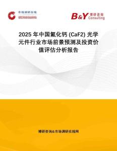 2025年中國氟化鈣 (CaF2) 光學(xué)元件行業(yè)市場前景預(yù)測及投資價(jià)值評估分析報(bào)告