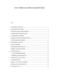2025年薄板自動(dòng)打磨機(jī)行業(yè)深度研究報(bào)告