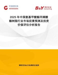 2025年中國氨基甲酸酯丙烯酸酯樹脂行業(yè)市場前景預測及投資價值評估分析報告