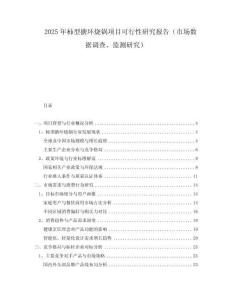 2025年柿型搪環(huán)燒鍋項目可行性研究報告（市場數(shù)據(jù)調(diào)查、監(jiān)測研究）