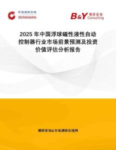 2025年中國浮球磁性液性自動控制器行業市場前景預測及投資價值評估分析報告