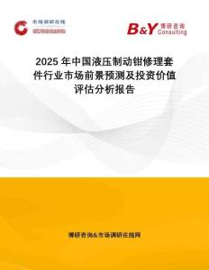 2025年中國液壓制動鉗修理套件行業市場前景預測及投資價值評估分析報告