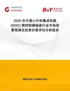 2025年中國(guó)小外形集成電路 (SOIC) 微控制器插座行業(yè)市場(chǎng)前景預(yù)測(cè)及投資價(jià)值評(píng)估分析報(bào)告