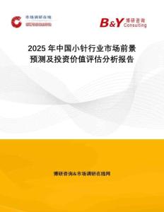 2025年中國小針行業市場前景預測及投資價值評估分析報告